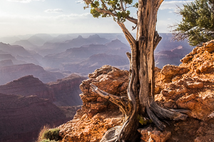Paysage Etats Unis Grand Canyon